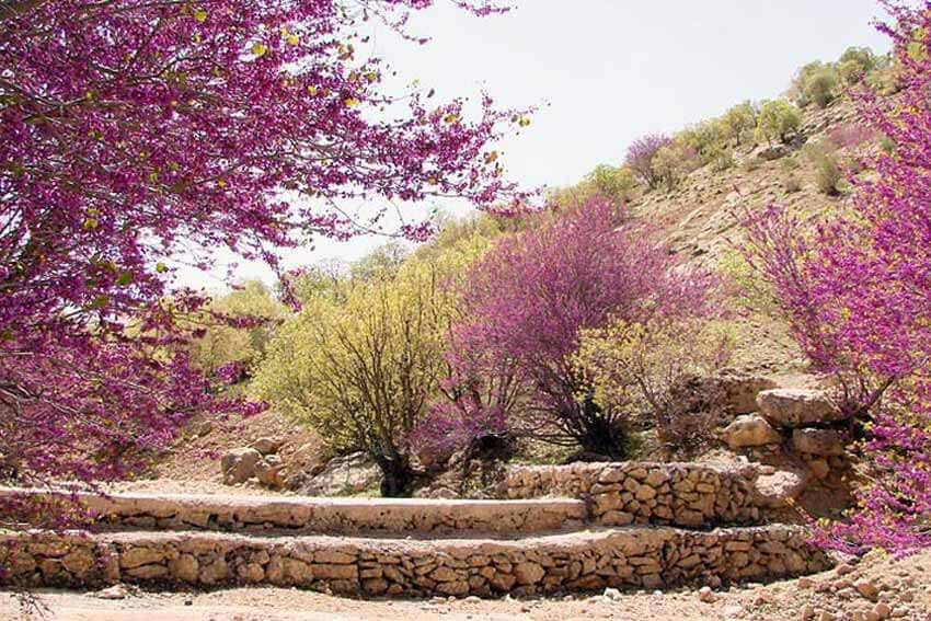 جاهای دیدنی ایلام: 25 جایی که کمتر کسی میشناسد جاهای دیدنی ایلام: 25 جایی که کمتر کسی میشناسد