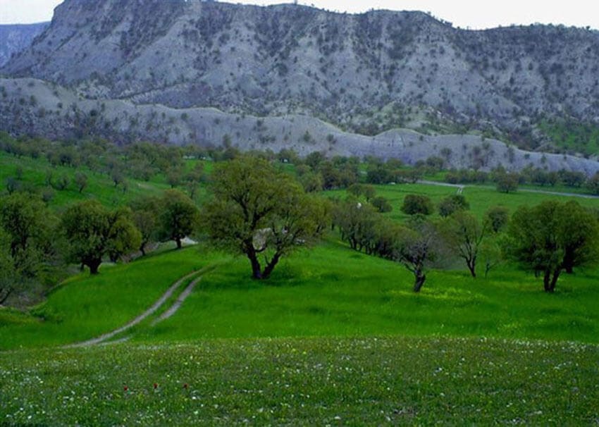 جاهای دیدنی ایلام: 25 جایی که کمتر کسی میشناسد جاهای دیدنی ایلام: 25 جایی که کمتر کسی میشناسد