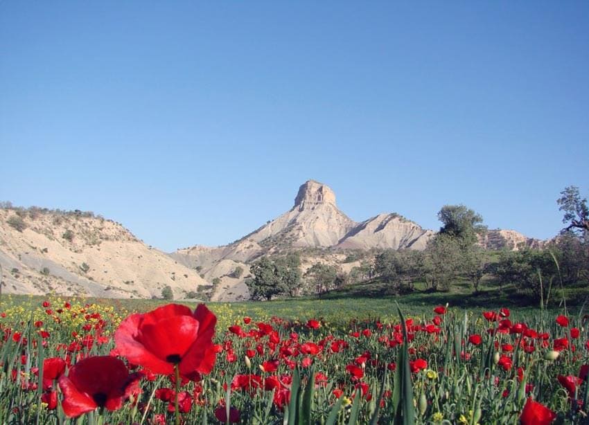 جاهای دیدنی ایلام: 25 جایی که کمتر کسی میشناسد جاهای دیدنی ایلام: 25 جایی که کمتر کسی میشناسد