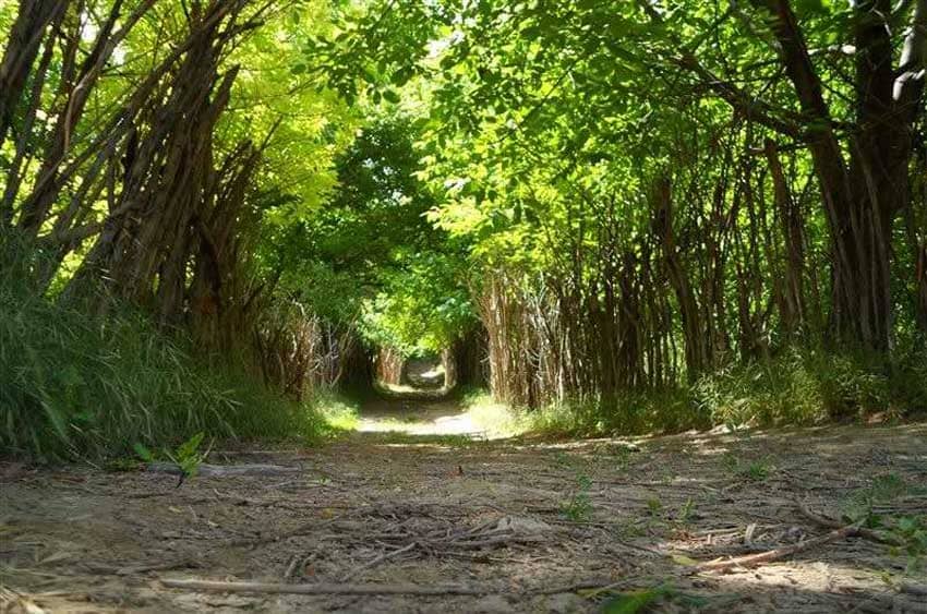 مناطق زیبای گردشگری ایلام(قسمت اول) مناطق زیبای گردشگری ایلام(قسمت اول)
