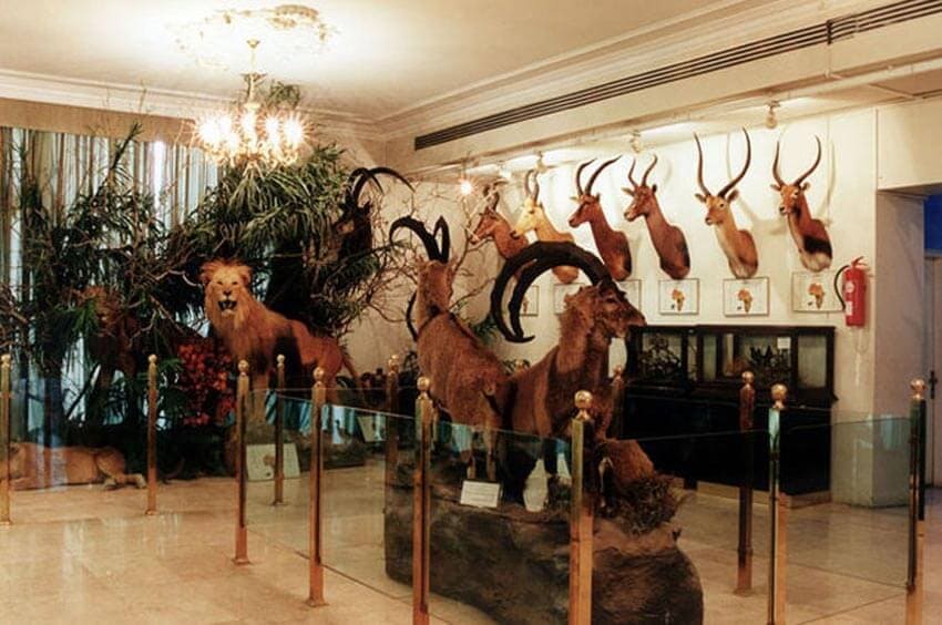 مناطق زیبای گردشگری ایلام (قسمت دوم) مناطق زیبای گردشگری ایلام (قسمت دوم)