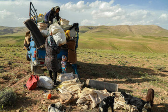 بیمه رایگان برای عشایر