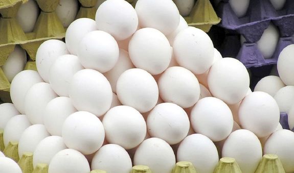 تخم مرغ هم دونرخی عرضه میشود تخم مرغ هم دونرخی عرضه میشود
