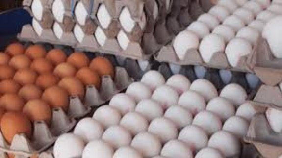 قیمت مصوب مرغ و تخم مرغ قیمت مصوب مرغ و تخم مرغ