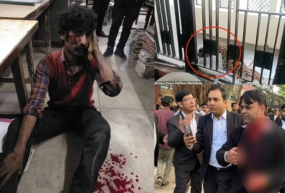 حمله خونین یک پلنگ به ساختمان دادگستری! حمله خونین یک پلنگ به ساختمان دادگستری!