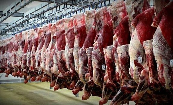 عرضه گوشت گرم وارداتی در میادین از هفته آینده عرضه گوشت گرم وارداتی در میادین از هفته آینده