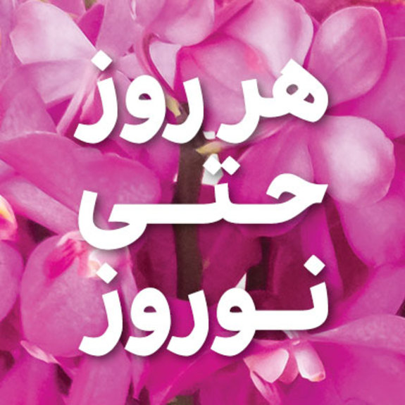 فعالیت شعب کشیک بانک اقتصادنوین در ایام نوروز فعالیت شعب کشیک بانک اقتصادنوین در ایام نوروز