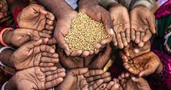 آیا جنگ جهانی گندم در راه است؟ آیا جنگ جهانی گندم در راه است؟