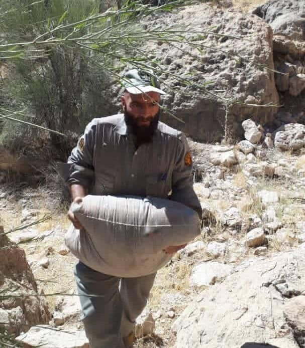 شهادت دو محیط بان در درگیری با شکارچیان غیرمجاز شهادت دو محیط بان در درگیری با شکارچیان غیرمجاز