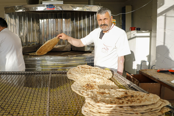 اظهارت خبرگزاری رسمی دولت درباره طرح مهیا