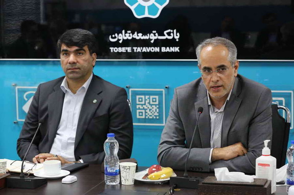بررسی عملکرد شرکت های تابعه بانک توسعه تعاون بررسی عملکرد شرکت های تابعه بانک توسعه تعاون