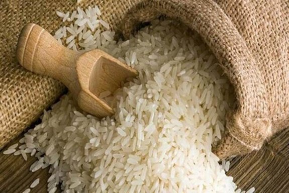 برنجهای آب گرفته آزمایش میشوند برنجهای آب گرفته آزمایش میشوند