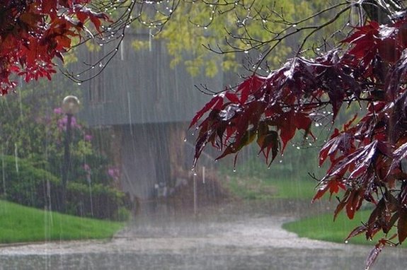 بارش باران در شمال کشور/ ورود گرد و خاک از عراق به مرزهای غربی بارش باران در شمال کشور/ ورود گرد و خاک از عراق به مرزهای غربی