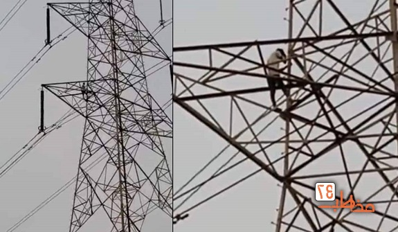 تصمیم عجیب مرد هندوستانی پس از دعوای زناشویی + فیلم تصمیم عجیب مرد هندوستانی پس از دعوای زناشویی + فیلم