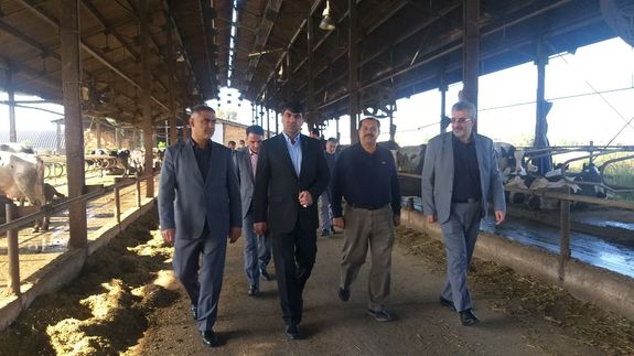 بانک توسعه تعاون به بخشهای اقتصادی مازندران ۷ هزار میلیارد ریال تسهیلات پرداخت کرد بانک توسعه تعاون به بخشهای اقتصادی مازندران ۷ هزار میلیارد ریال تسهیلات پرداخت کرد