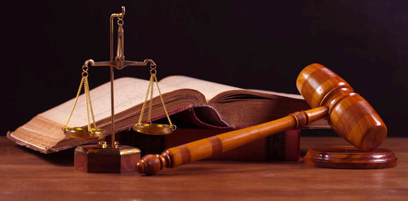 احضار شقایق دهقان و الناز شاکردوست به اوین شقایق دهقان و الناز شاکردوست احضار شدند