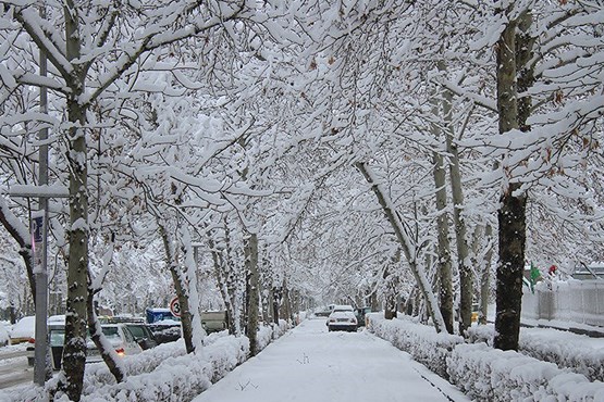 پیش بینی هواشناسی در روزهای آینده / هشدار برف و سرما