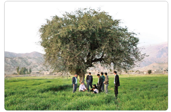 وضعیت روستای مال ملا پس از سقوط بورس / میخواهم قلبم را بفروشم! وضعیت روستای مال ملا پس از سقوط بورس / میخواهم قلبم را بفروشم!