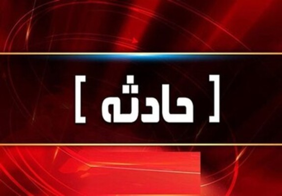 حمله وحشیانه یک سگ بولداگ به خانم کارآفرین در خیابان! + فیلم