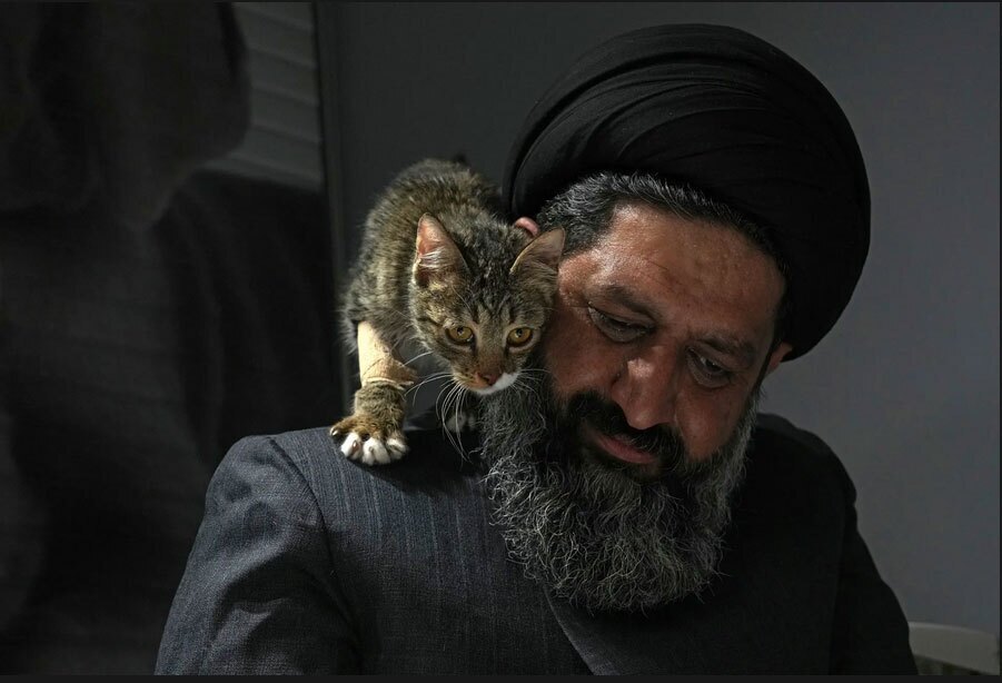 گربه زخمی بر شانه روحانی ایرانی حامی حیوانات (+عکس) گربه زخمی بر شانه روحانی ایرانی حامی حیوانات (+عکس)