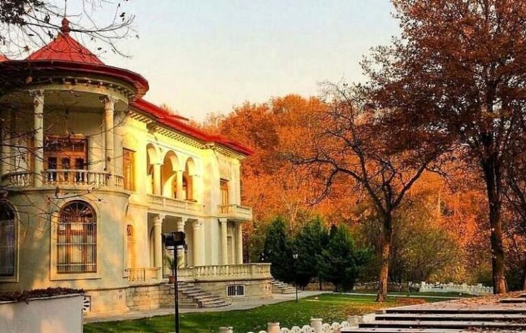 ماجرای جنجالی قطع درختان کاخ سعدآباد و واکنش مدیریت آن+ عکس