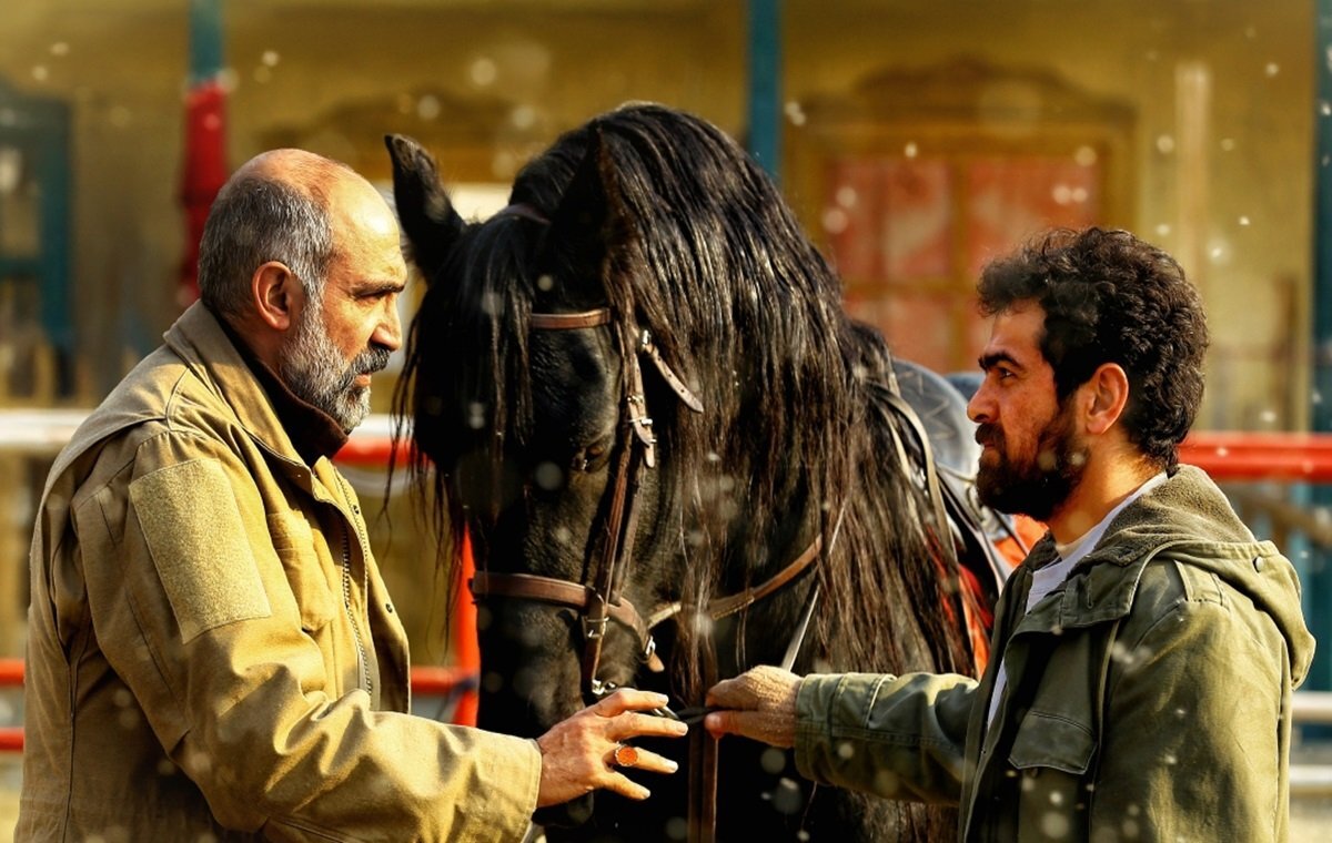 آنچه که از ۴۳ فیلم فجر امسال نمیدانید! آنچه که از ۴۳ فیلم فجر امسال نمیدانید!