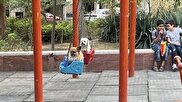 سگ‌گردانی در اصفهان ممنوع شد