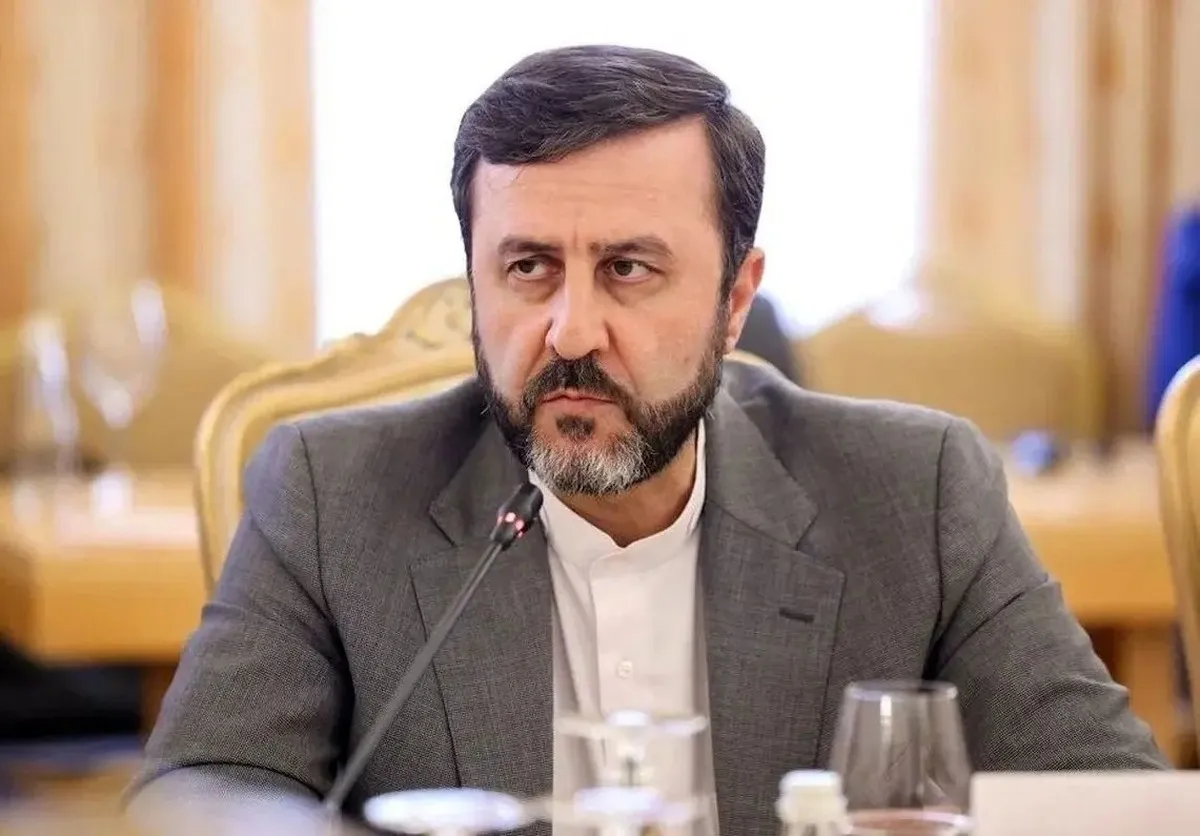 رایزنی غریب‌ آبادی با یک مقام سازمان ملل