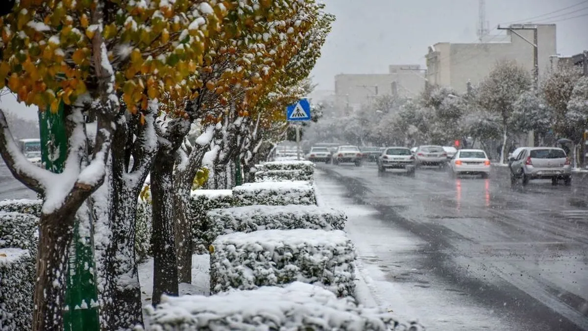 عوارض نمک‌پاشی برای مقابله با یخ‌زدگی روی محیط زیست