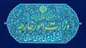 معاون دبیر حزب کمونیست چین در راه ایران