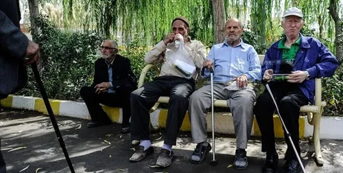 شاغلان بالای ۸۰ سال