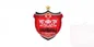 ۲ عضو جدید هیات مدیره پرسپولیس را بشناسید