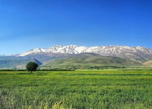 زیباترین غار نمکی جهان در قشم + عکس