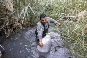 همراه با نگهبانان تالاب