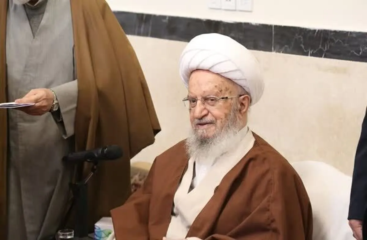 آیت‌الله مکارم شیرازی: حضور پای صندوق‌ها حل مشکلات کشور را آسان می‌کند
