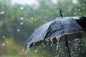 آغاز باران پاییزی در غالب نقاط کشور