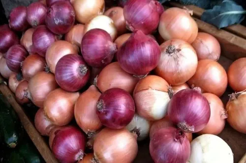 باور غلط درباره پیاز