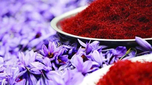 صادرات زعفران با حذف عوارض گمرکی افزایش می&zwnj;یابد