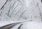 هواشناسی ایران۱۴۰۳/۱۱/۲۴
