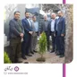 کاشت نهال توسط معاون اجرایی و اعضای هیئت مدیره بیمه آرمان بمناسبت روز درختکاری