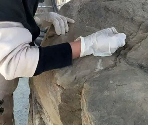کارگاه&zwnj;های پاکسازی گل سنگ&zwnj;ها در مجموعه جهانی تخت&zwnj;جمشید همچنان فعال است