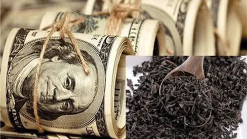 ۲ رویکرد دولتی&zwnj;ها برای &laquo;فرار از مسئولیت&raquo; فساد چای دبش؛ اول فرافکنی، دوم قهرمان&zwnj;سازی از رئیسی!