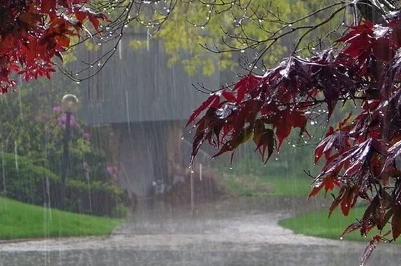 بارش باران در شمال کشور/ ورود گرد و خاک از عراق به مرزهای غربی