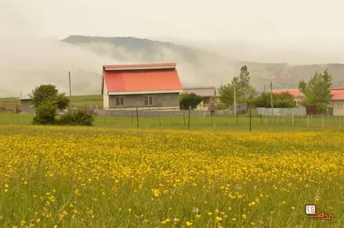 روستای جنگلی اربکله رامسر، عکاسی گردشگری