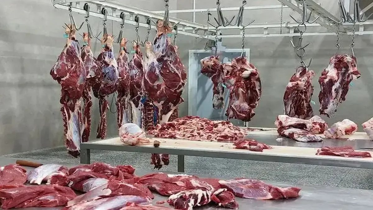 عرضه گوشت گوسفندی با قیمت جدید در تهران