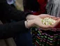 جشنواره بهار نارنج در گیلان