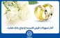 اعطای بیش از ۱۱۶ هزار فقره تسهیلات قرض‌الحسنه ازدواج توسط بانک تجارت