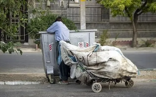 ۶۰۰۰ زباله گرد در تهران وجود دارد!