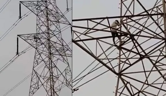 تصمیم عجیب مرد هندوستانی پس از دعوای زناشویی + فیلم