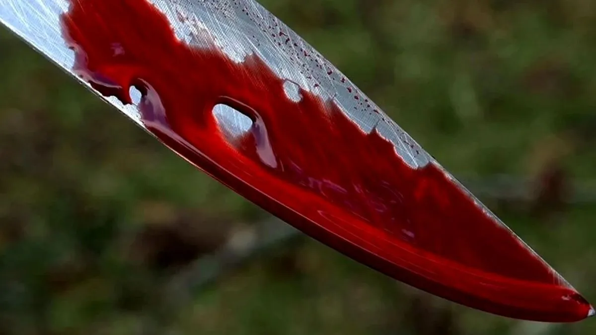 حمله خونین به ۳ بسیجی در شمیرانات